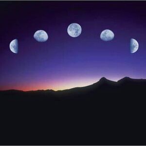 👀 Showing a Friend 👀